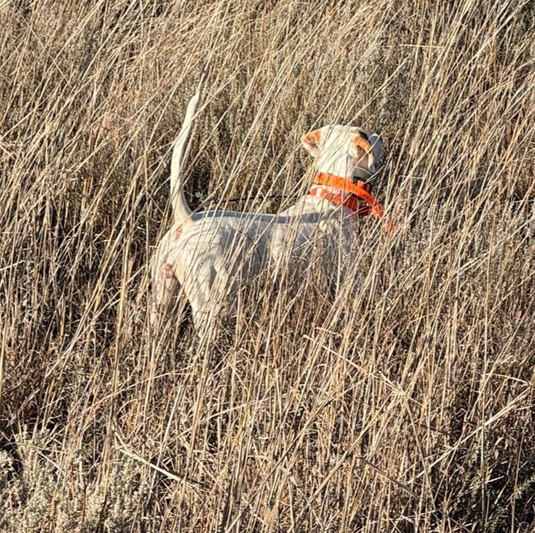 L7 BACK IN THIS PLACE 