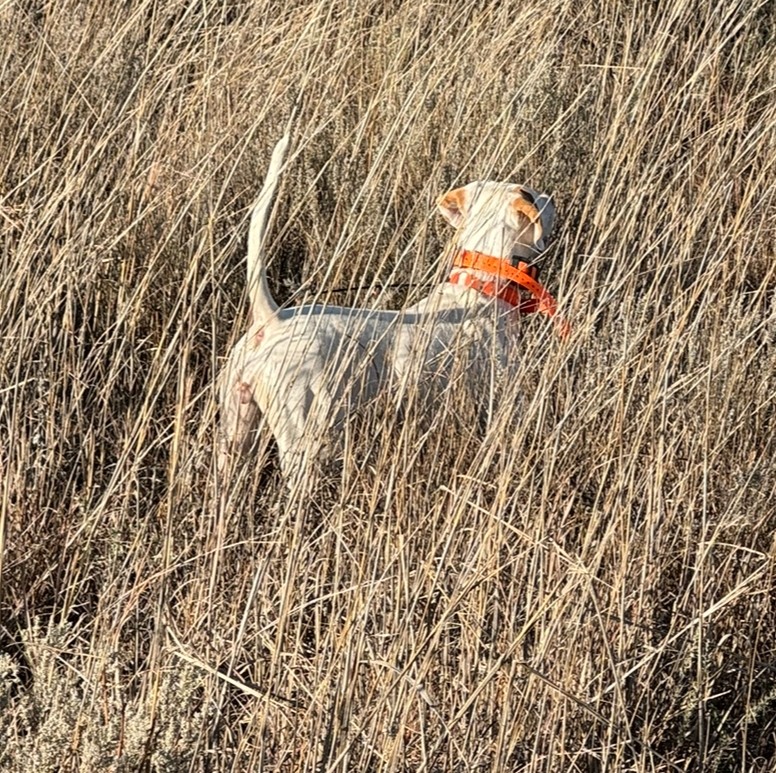 L7 BACK IN THIS PLACE 